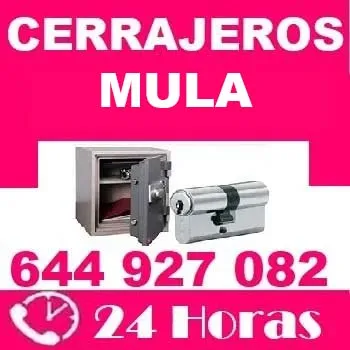 Cerrajeros Mula 24 horas